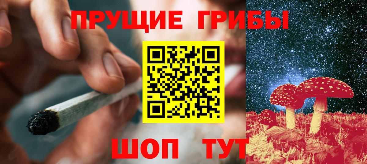 Псилоцибиновые грибы Magic Shrooms Зима