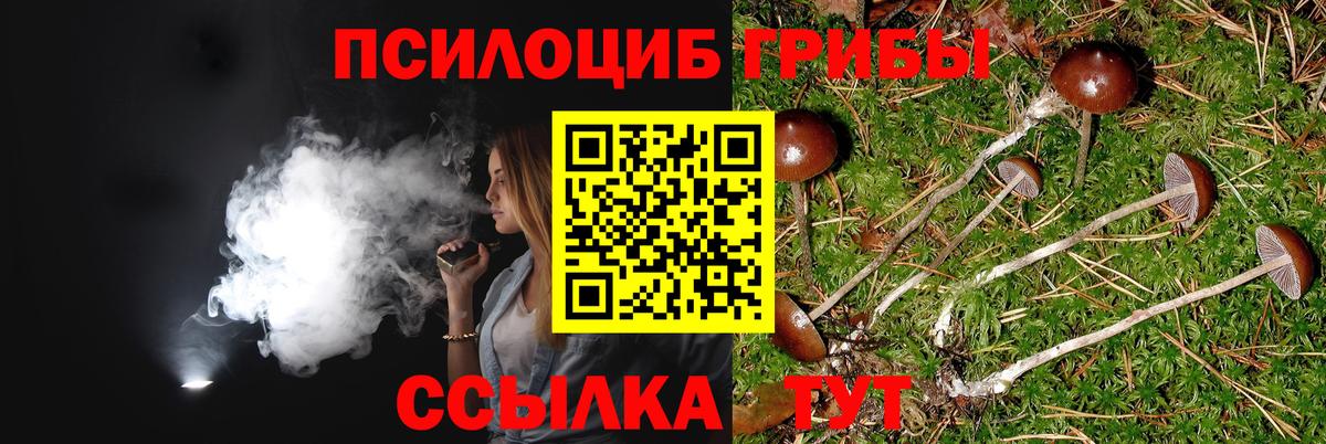 Галлюциногенные грибы мицелий  сколько стоит  Зима  Вход с VPN 